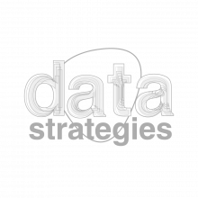 Logo gris Data Stratégies